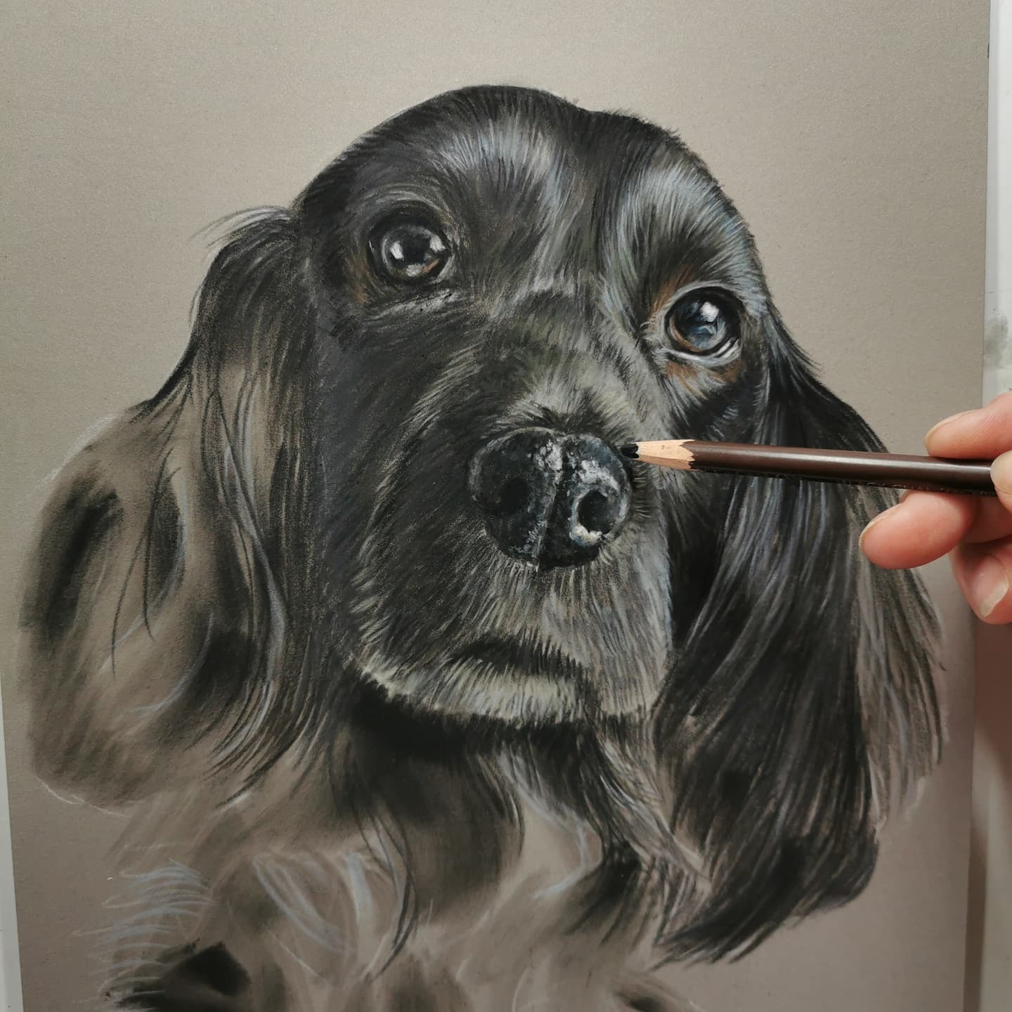 Leah Couzens Dog Artist